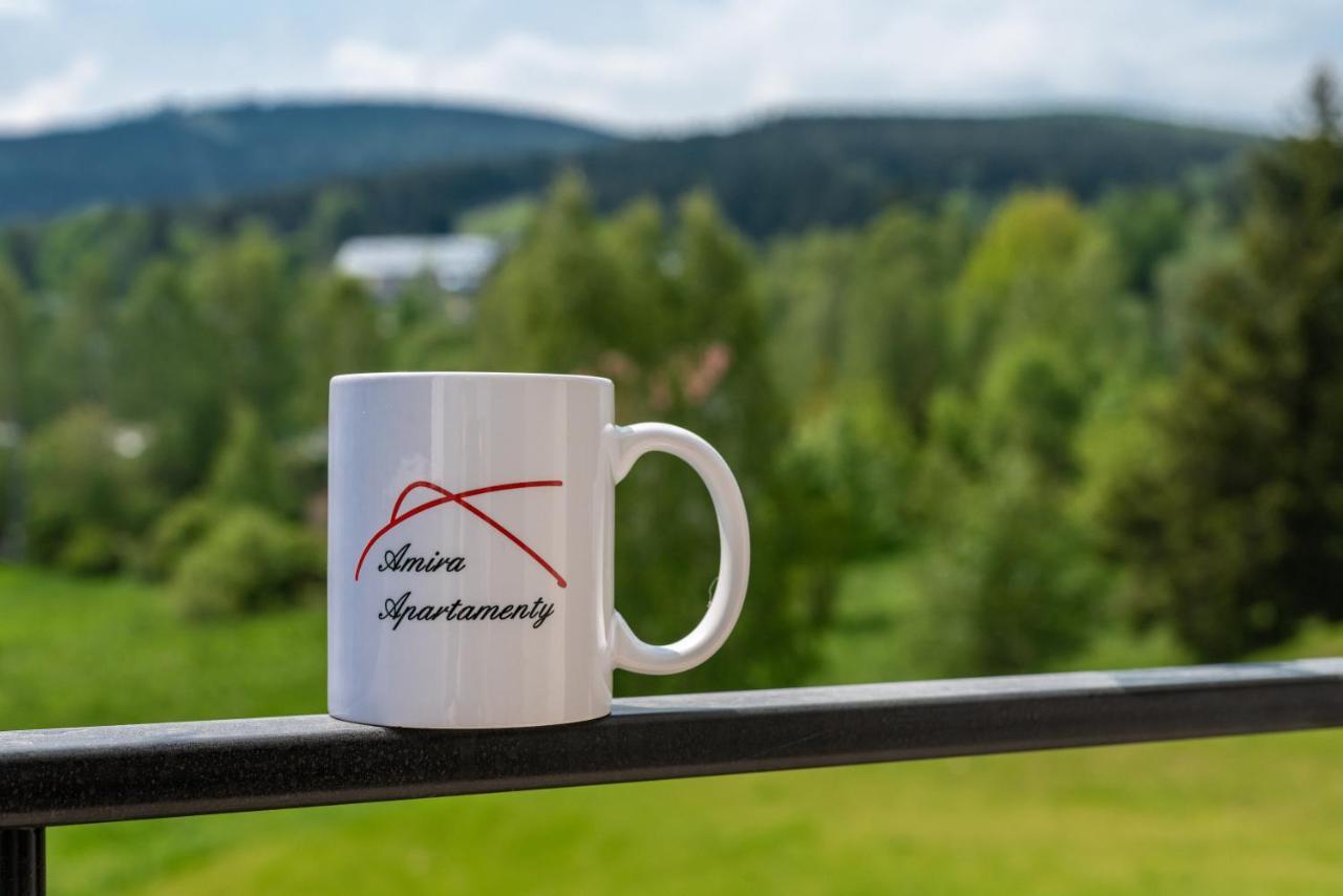Apartamenty Amira W Kompleksie Apartamenty Piano Świeradów-Zdrój エクステリア 写真
